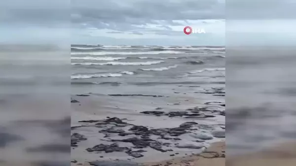 Kerç Boğazı'nda Petrol Tankeri Felaketi: Çevreyi Kirletti