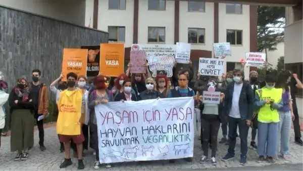 HAYVANSEVERLER, HAYVAN YASASI İÇİN PROTESTO EYLEMİ YAPTI