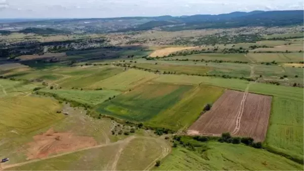 Edirne'de yağışlar çiftçiyi sevindirdi