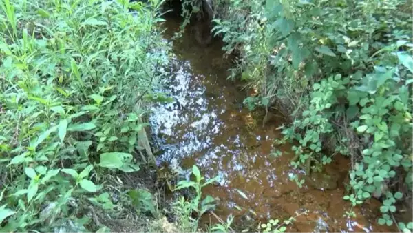 SULTANGAZİ'DE TEHLİKE SAÇAN DERE