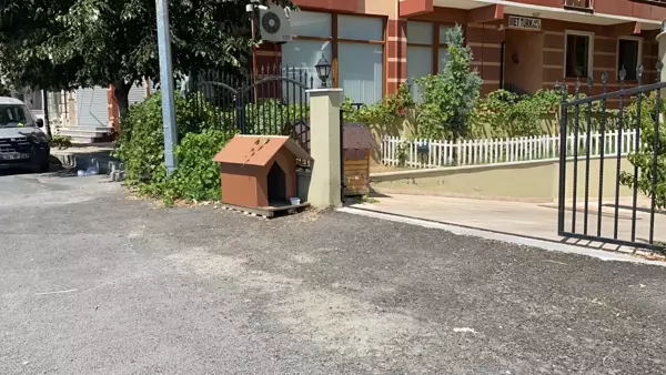 Tekirdağ'da köpeğin barınağa gönderilmek istenmesine tepki gösteren kişinin videosu sosyal medyada ilgi çekti