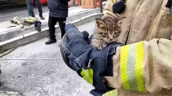 BAŞAKŞEHİR'DE 25 METRELİK KANALİZASYON KUYUSUNDAN KEDİ KURTARMA OPERASYONU