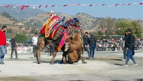 AYDIN'DA 1 YIL ARADAN SONRA DEVELER YENİDEN ARENADA