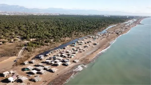 Son dakika haberleri: Caretta carettaların yuvalanma alanındaki barakalar için yıkım kararı