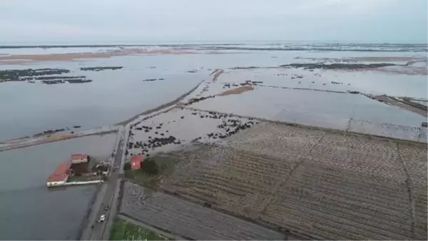 KIZILIRMAK DELTASI'NDAKİ MAHALLEDE 'TAŞKIN' KORKUSU