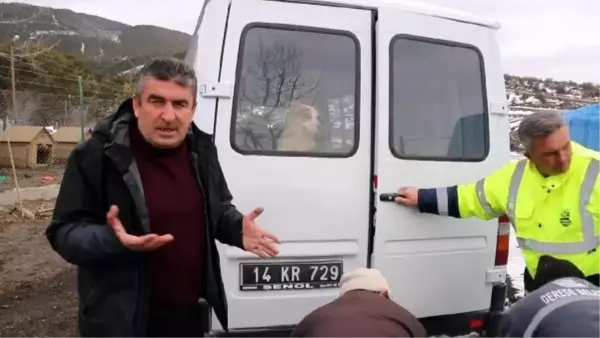 GEREDE HAYVAN BARINAĞINDAKİ KÖPEKLER DÜZCE'YE SEVK EDİLDİ