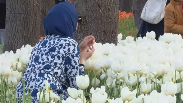 EMİRGAN KORUSU'NDAKİ 'LALE ŞÖLENİ'NE FOTOĞRAF GÖLGESİ