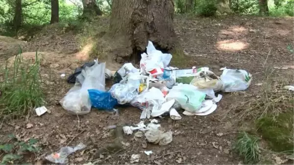 BELGRAD ORMANI'NDA PİKNİKÇİLERDEN GERİYE ÇÖPLER KALDI