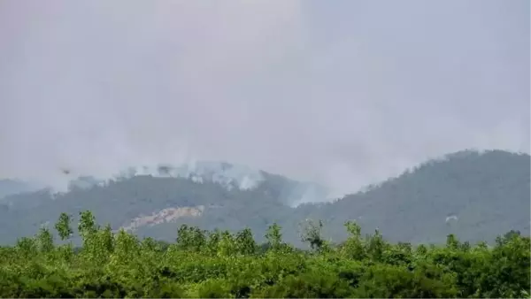 YUNANİSTAN'DAKİ ORMAN YANGINI, TÜRKİYE'DEN ENDİŞE İLE İZLENİYOR