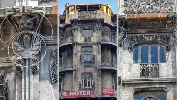 İstanbul'un göbeğinde kaderine terkedilen bir güzellik! Halini gören kahroluyor