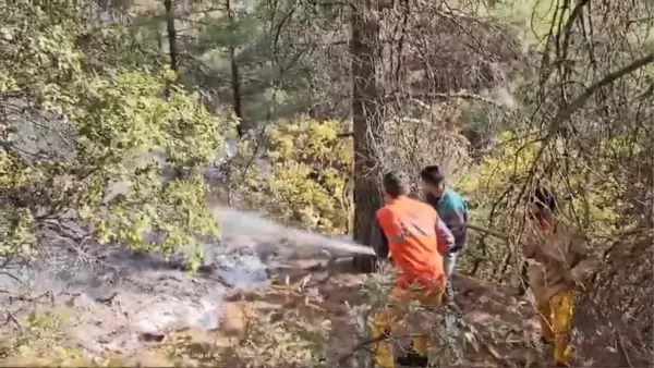 Kahramanmaraş'ta Orman Yangınına Müdahale Başladı