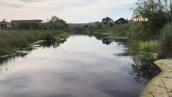 Tekirdağ'daki Kınıklı Deresi Siyah Akmaya Başladı