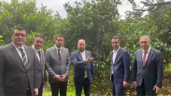 CHP Genel Başkan Yardımcıları Hatay'da Narenciye Üreticileriyle Buluştu