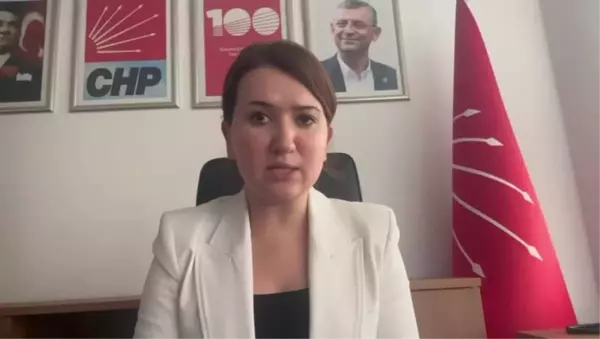 CHP Genel Başkan Yardımcısı Gökçe Gökçen, Tahir Elçi Davası'nda beraat istenmesine tepki gösterdi