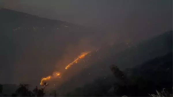 Bingöl'ün Genç ilçesinde orman yangını çıktı