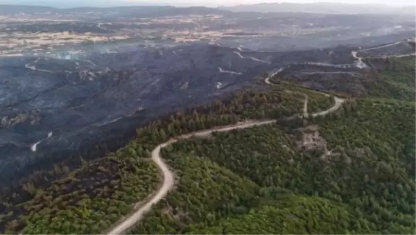 Çanakkale orman yangını söndürüldü mü? Çanakkale'de orman yangını nerede çıktı?