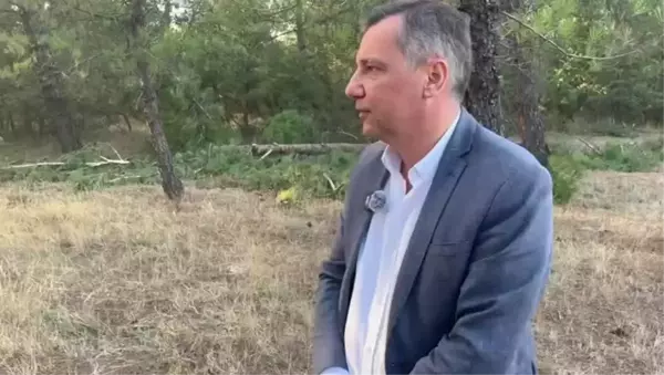 CHP'li Ceylan'dan Cengiz Holding'e Ağaç Kesimi Tepkisi