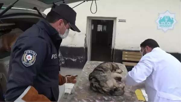 Son dakika haberleri... Yaralı köpeği veterinere 'HAYDİ' polisleri yetiştirdi