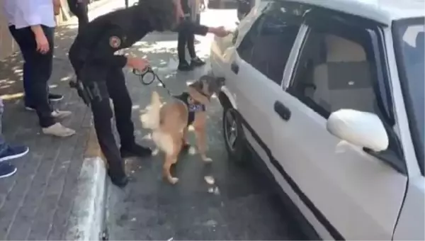 Son dakika haber... BEYOĞLU'NDA SOKAKTA UYUŞTURUCU SATANLARA OPERASYON