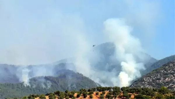 Son dakika haberleri | Hassa'daki yangın, 2'nci günde de devam ediyor