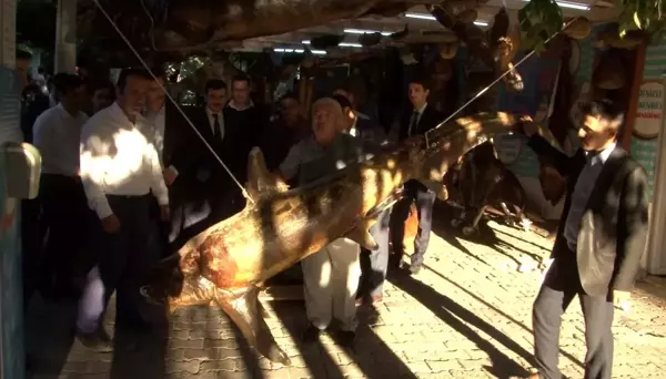 Esenyurt Mehmet Altun Öğrenci yurdu öğretmenleri Balıkçı Kenan'ı ziyaret etti