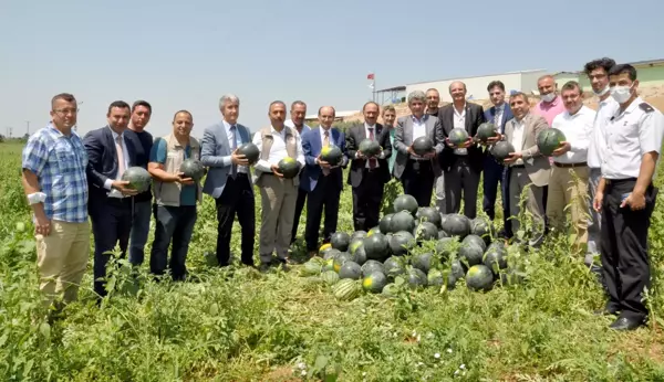 Karacabey'de karpuz şenliği