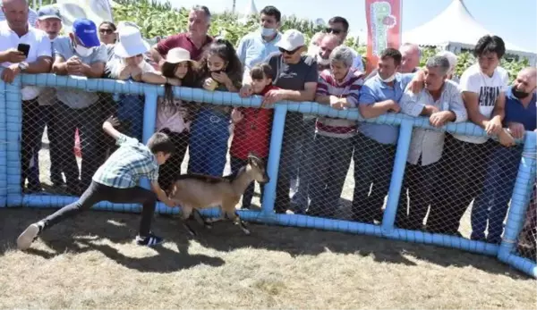 ÇOCUKLAR OĞLAK YAKALAMAK, BÜYÜKLER YEMEK İÇİN YARIŞTI