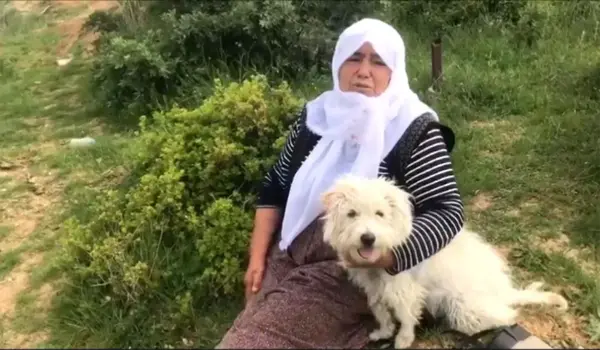 Son dakika haber: - Zincirleme kazada duygusal anlar yaşandı