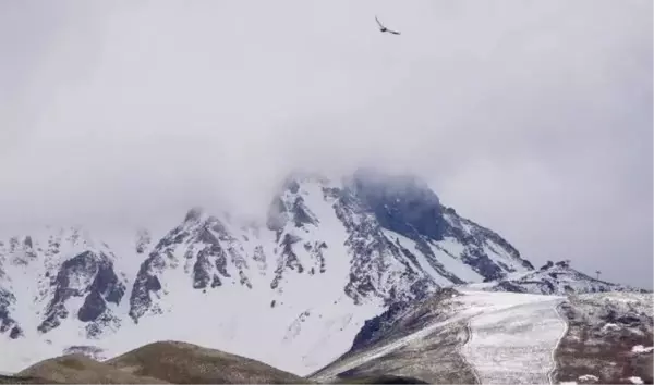 Yurtta haziran karı; yaylalar ve zirveler beyaza büründü