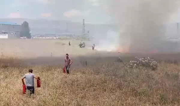 Erzurum'da Buğday Tarlasında Yangın Çıktı