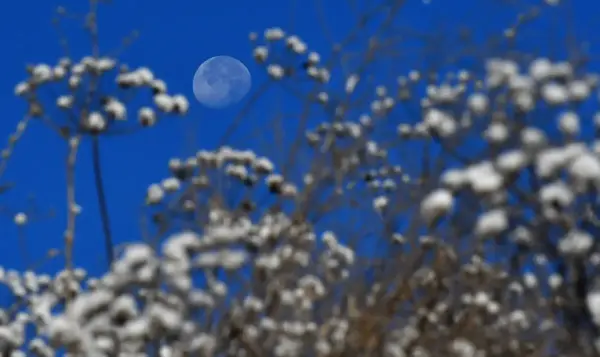 Sarıkamış'ta Soğuk Hava Etkili: Sıfırın Altında 6 Derece