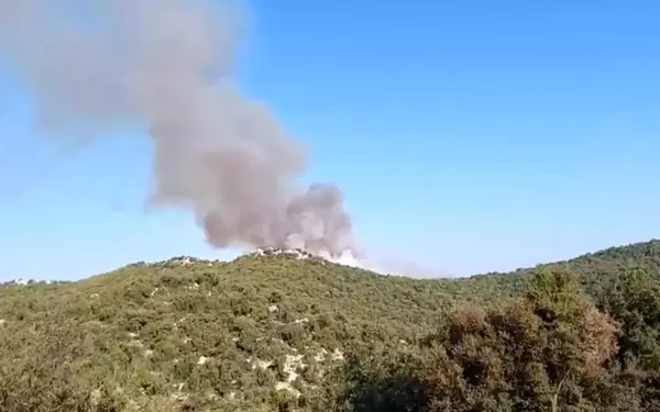 Son dakika haberleri... Demre'de de orman yangını çıktı