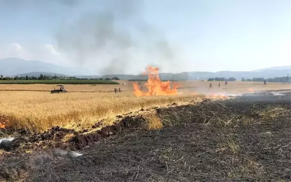 Osmaniye'de 10 dönüm buğday tarlası yandı