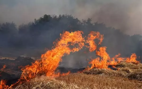 Dünden beri alevlere teslim olan Çanakkale'de yangının ilerlemesi durduruldu