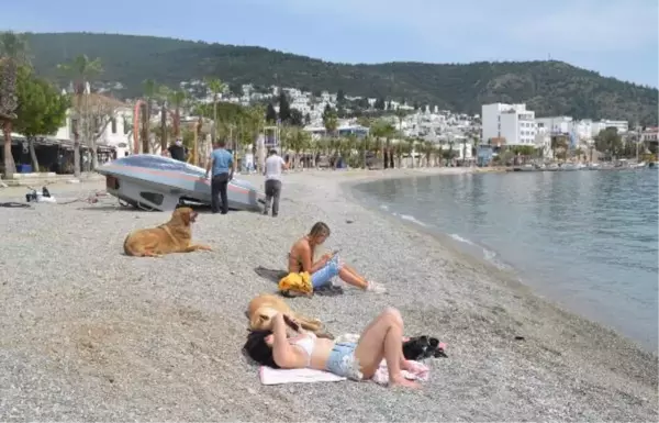 BODRUM PLAJLARI TURİSTLERE KALDI