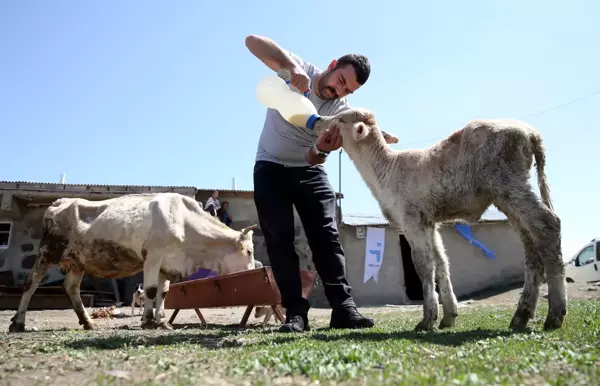 Devlet desteğiyle hayvancılığa başlayan eski hükümlü hayatında yeni sayfa açtı