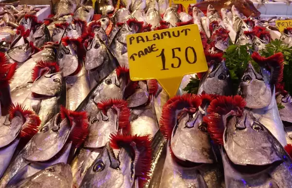 Karadeniz'de Balık Av Sezonu Başladı: Palamut ve Hamsi Tezgahlarda