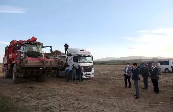 Bitlis'te 160 bin ton şeker pancarı hasadı bekleniyor