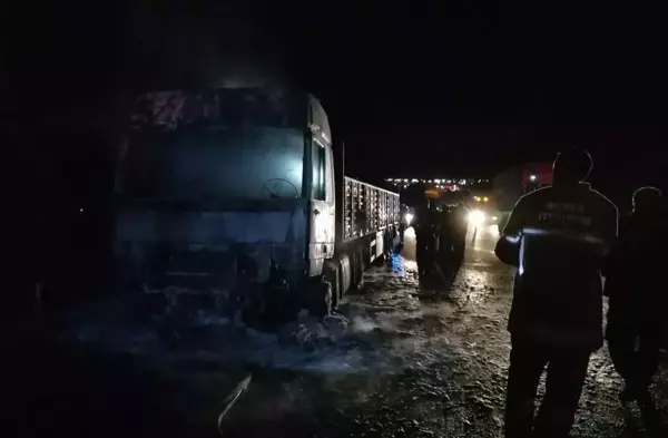 Son dakika haberleri... Bursa-Ankara kara yolundaki yangında tır kullanılamaz hale geldi