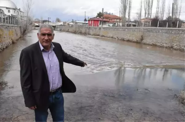 KURUYAN TECER IRMAĞI, YAĞIŞLARLA YENİDEN HAYAT BULDU