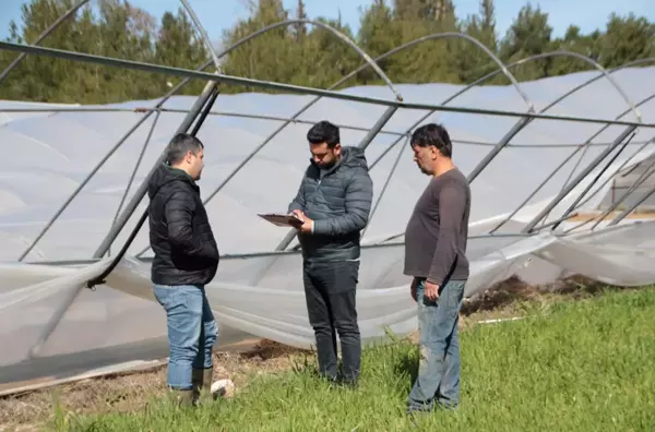 Serik'te hortum ve sağanaktan etkilenen seralarda hasar tespiti yapılıyor