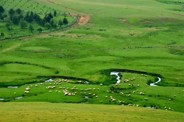 Arap turistlerin Karadeniz'deki yatırımları giderek artıyor