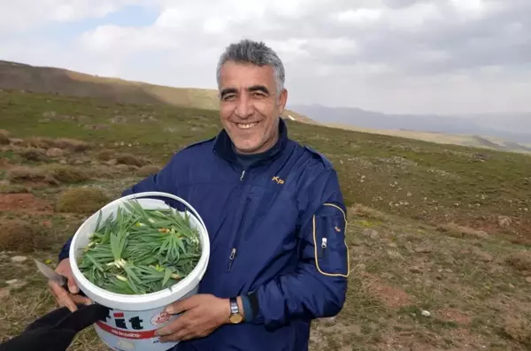 Muş'ta baharın müjdecisi 