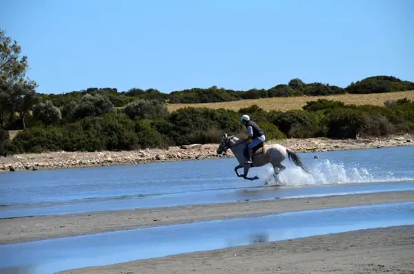 Didim'de alternatif turizm hareketliliği etkinlikle anlatıldı