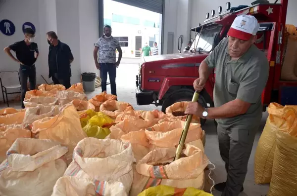 TMO'nun Ordu'da fındık alımı başladı