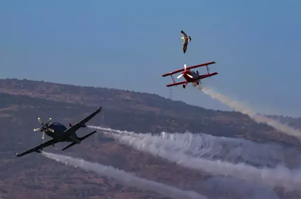 İzmir haber! Kadın akrobasi pilotu Semin Öztürk Şener, İzmir'de prova yaptı