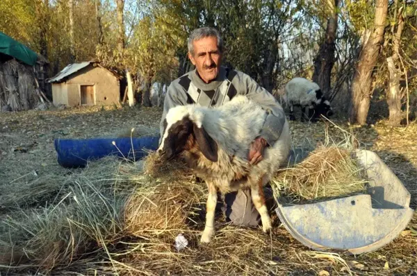 'Sarı Kız'ın sahibi Mehmet Emin Amca artık çok mutlu