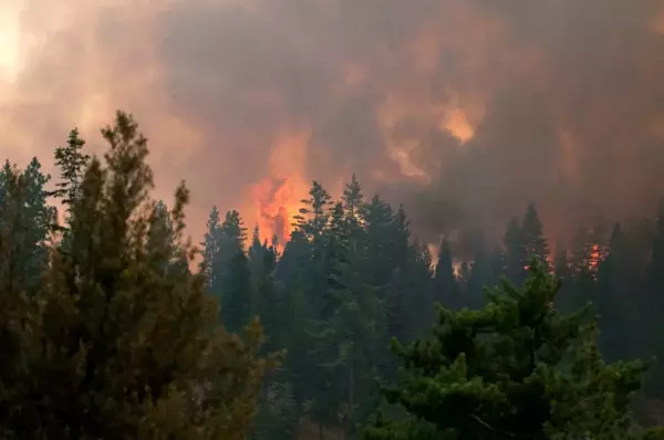 Son dakika! California'daki yangınlar kontrol altına alınamıyorCaldor yangını yaklaşık 51 bin haneyi elektriksiz bıraktı