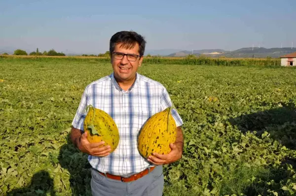 Bakan Pakdemirli'ye 'Kırkağaç kavunu' çağrısı