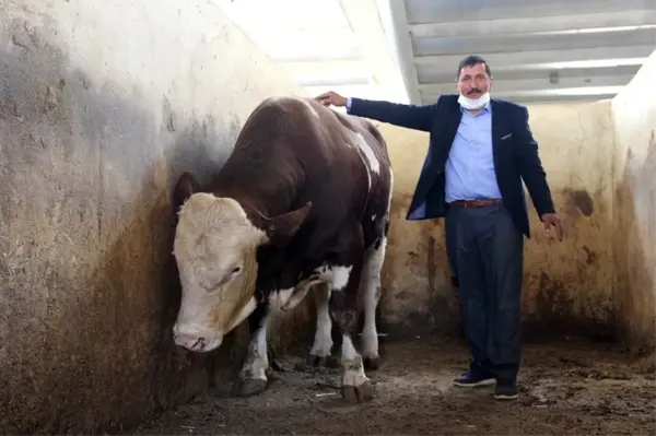 Köyüne kurduğu çiftlikte kazandığı para dudak uçuklatıyor